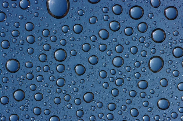 Drops on glass — Stock Photo, Image