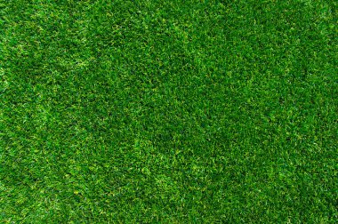 arka planı yeşil çimen