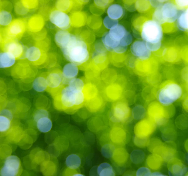 Gröna bokeh — Stockfoto