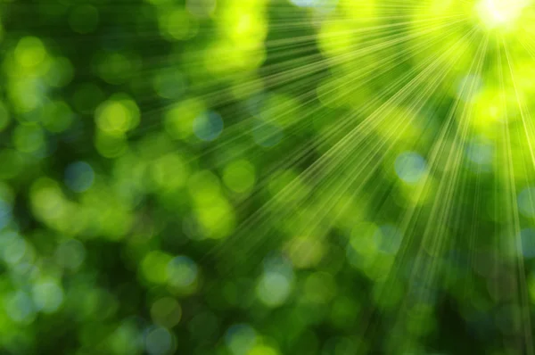 Green bokeh — Stock Photo, Image