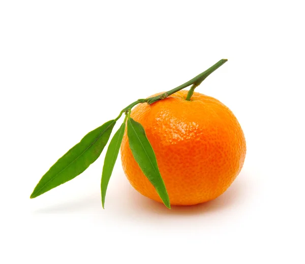 Mandarin on white — Stock Photo, Image