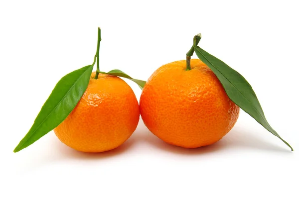 Mandarin on white — Stock Photo, Image