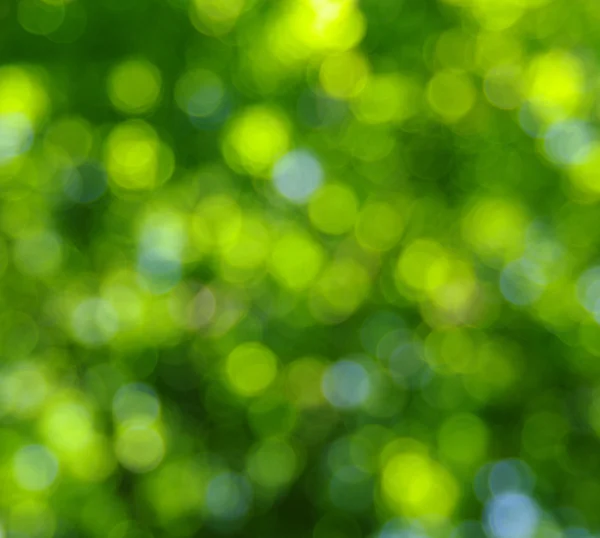 Green bokeh — Stock Photo, Image