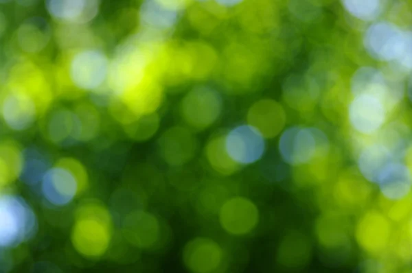 Green bokeh — Stock Photo, Image