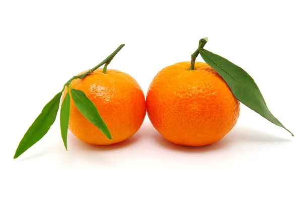 Mandarin on white — Stock Photo, Image