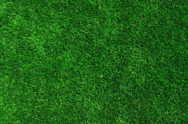 Textura césped verde — Foto de Stock