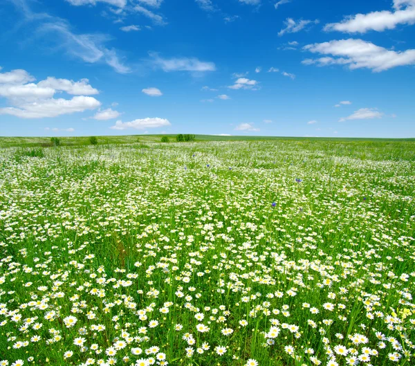 Intonaco su una parete — Foto Stock