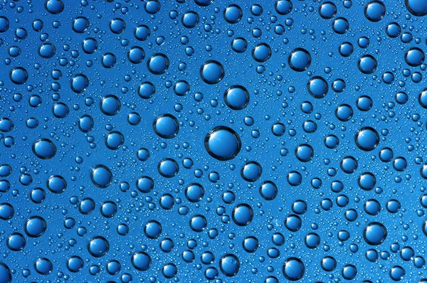 Drops on glass — Stock Photo, Image