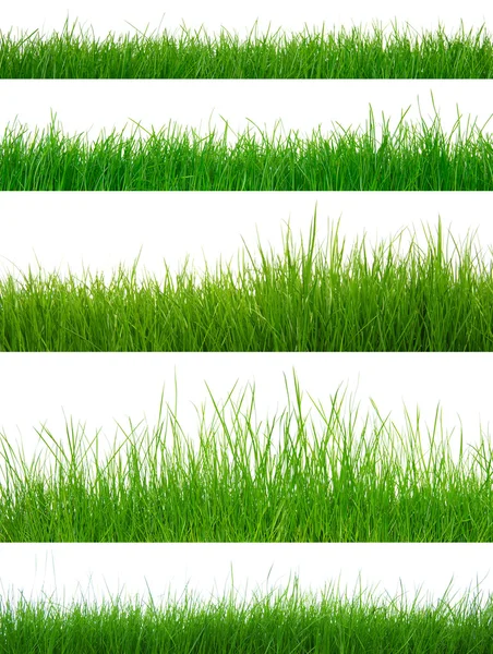 Groen gras — Stockfoto