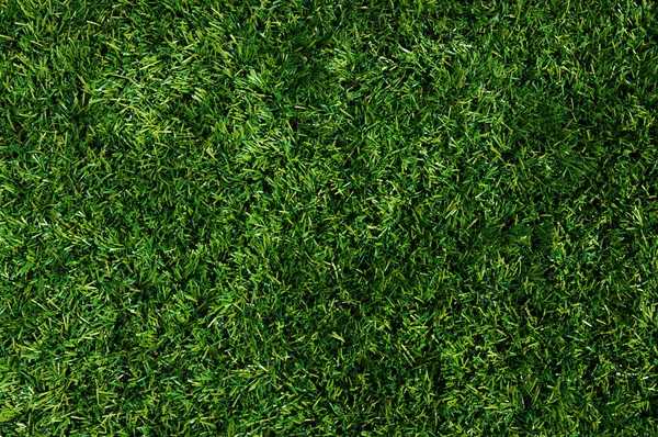Texture green lawn — Stock Photo, Image