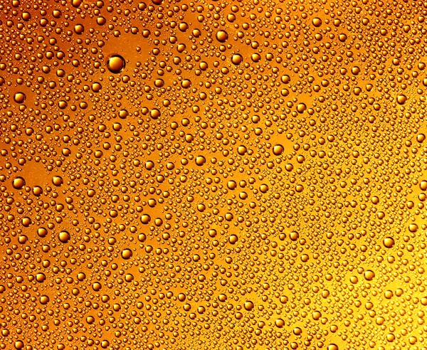 beer background