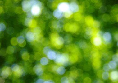 Soyut Işık Arkaplanı