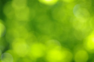 Yeşil bokeh