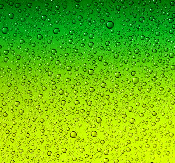 Green water drops — Stock Photo, Image