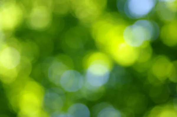 Yeşil bokeh — Stok fotoğraf