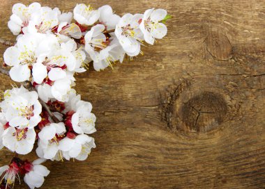 ahşap üzerine çiçeği