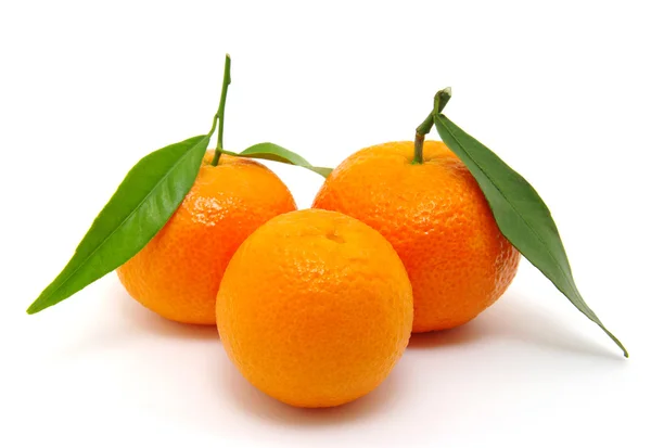 Mandarin on white — Stock Photo, Image