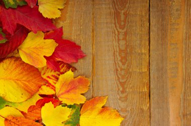 Tahtadaki sonbahar yaprakları