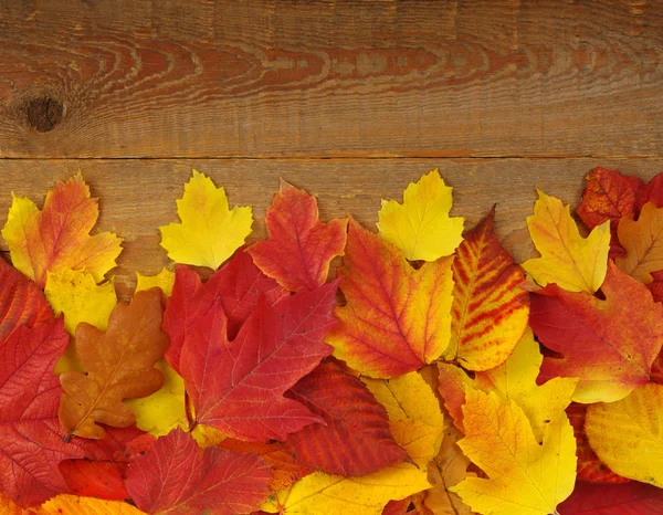 Hojas de otoño sobre madera — Foto de Stock