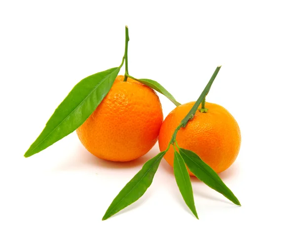 Mandarina sobre blanco —  Fotos de Stock