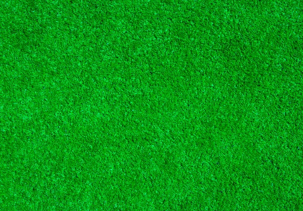 Background of a green grass — Stock Photo, Image