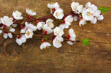 ahşap üzerine çiçek