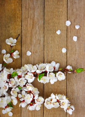 ahşap üzerine çiçek