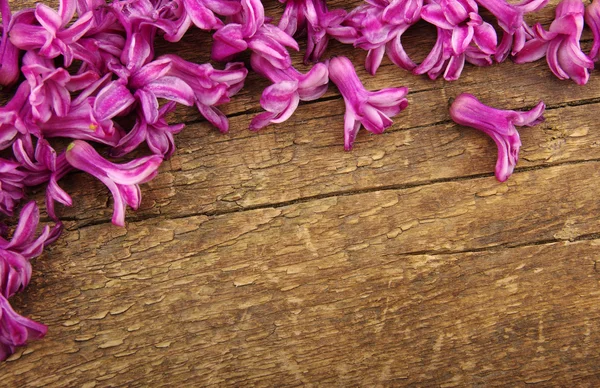 Flor na madeira — Fotografia de Stock