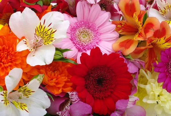 Background of the flowers — Stock Photo, Image