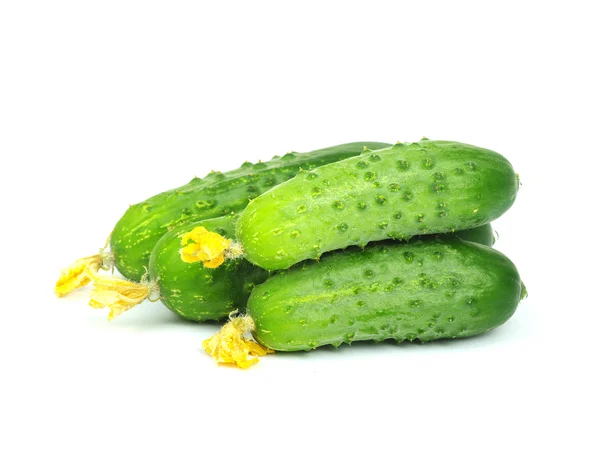 Pepino verde — Fotografia de Stock