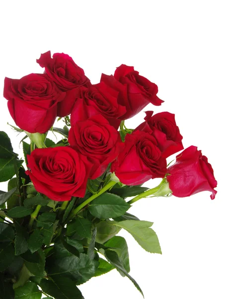 Red roses bouquet — Stock Photo, Image