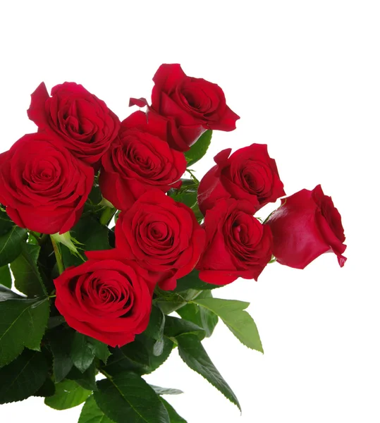 Red roses bouquet — Stock Photo, Image