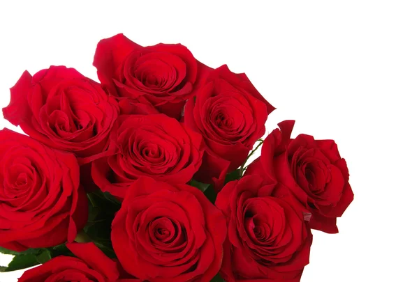 Red roses bouquet — Stock Photo, Image