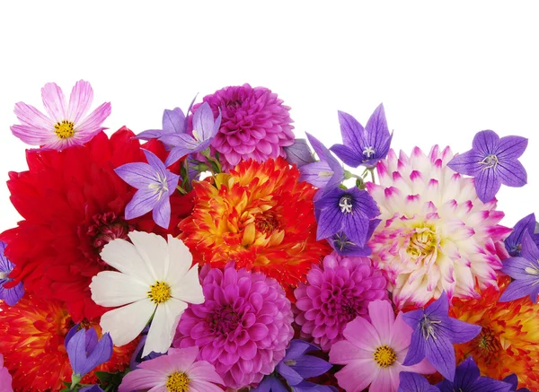 Flowers — Stock Photo, Image