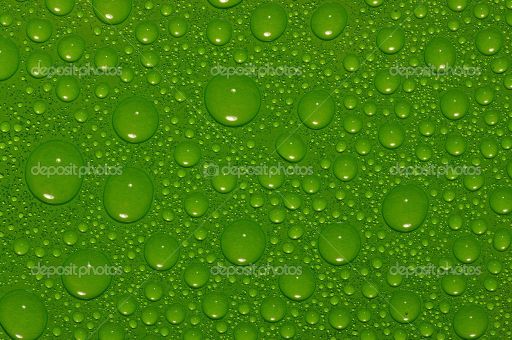 Green drops — Stock Photo © Ale-ks #43370971