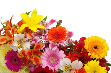  Çiçeklerin arkaplanı