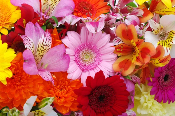 Pozadí květin — Stock fotografie