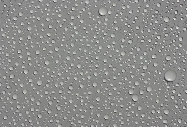 Water drops — Stock Photo, Image