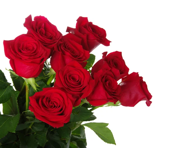 Red roses bouquet — Stock Photo, Image