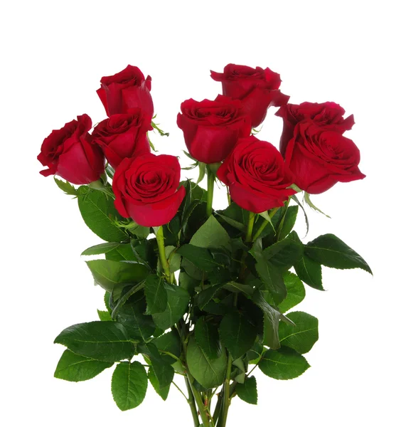 Bouquet di rose rosse — Foto Stock