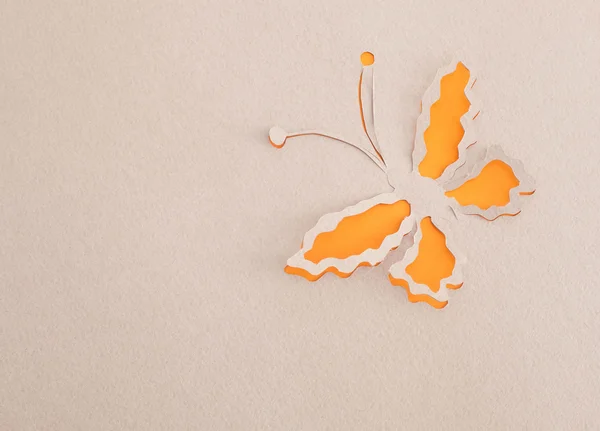 Origami papillon — Photo