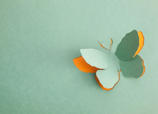 Origami di farfalla — Foto Stock