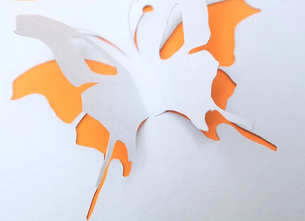 Schmetterlingspapier — Stockfoto