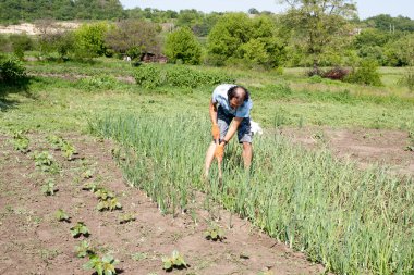 bahçede çalışan adam