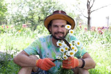 papatya çiçeği ve Orak tutan adam