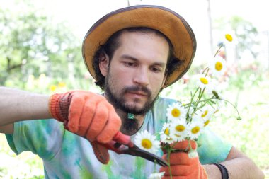 Papatya buketi kesme adam