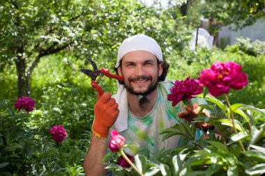 adam Şakayık bush secateurs ile kesme