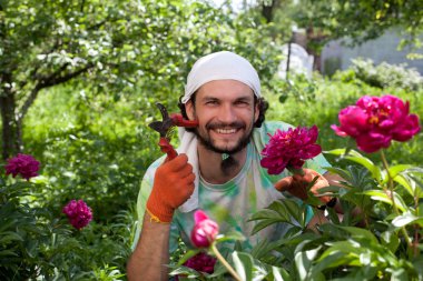 adam Şakayık bush secateurs ile kesme