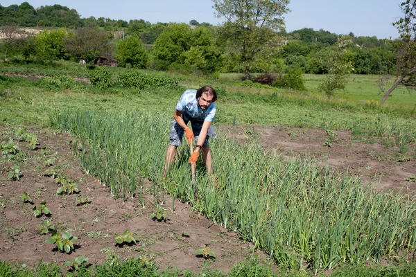 Hombre trabajando en su jardín — Foto de Stock