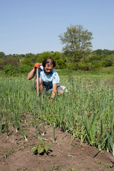 bahçede çalışan adam